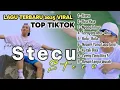 Download Lagu STECU Faris Adam | Juan Reza - PICA PICA | NYONG TIMUR || LAGU POP TIMUR VIRAL TIKTOK 2025