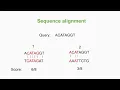 Calculate Scores of Multiple Sequence Alignment