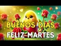 FELIZ MARTES MENSAJE DE BUENOS DIAS saludos de buenos dias Reflexion abrelo para ti