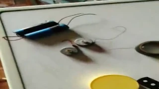 local hand made toy