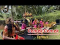 Download Lagu CEMEK CEMEK