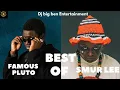 BEST OF FAMOUS PLUTO & SMUR LEE  MIX BY DJ BIG BEN #amapiano  #afrobeatslovers #famouspluto #smurlee