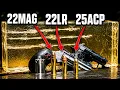 22MAG vs 22LR vs 25ACP in GEL Results Will Surprise You