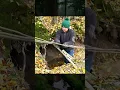 Download Lagu Underground Survival Shelter to Stay Safe from Wild Animals / Building / Survival / Camping / DIY