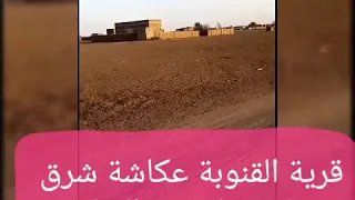 دوبيت محمد زين دوبيت قديم شديد عمو رفض ما يزوجو بنتو وقال في الدوبيث من قرية القنوبة عكاشة شرق سنا  دوبيت محمد زين دوبيت قديم شديد عمو رفض ما يزوجو بنتو وقال في الدوبيث من قرية القنوبة عكاشة شرق سنا