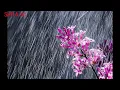 Arikil Pathiye WhatsApp Status Song SVA Musiq