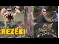 Download Lagu Kecewa Kita Hujan Turun Dengan Lebat 😭Tapi Ada Juga Hasil Syukur 🙏