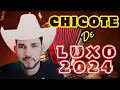 Download Lagu CHICOTE D` LUXO FORRÓ NA ROÇA 2024 AS MELHORES