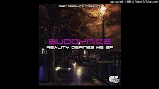 buddynice buddy original mix 