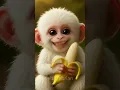 Lagu monyet imut lucu bernyanyi #monyetlucu #monyetviral #monyet #monyetpintar #monkey #funny #trending