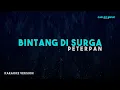 Download Lagu Peterpan – Bintang Di Surga Karaoke Version