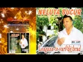 Download Lagu NELUTA BUCUR - Frunzulita margarit (AUDIO OFICIAL 2013)