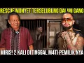 Download Lagu RESCUE MONYET TERSELUBUNG DALAM GANG ||  MIRIS! 2 KALI DITINGGAL MATI PEMILIKNYA