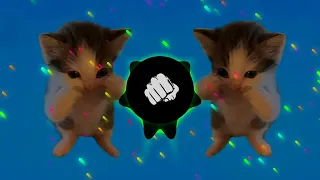 dj kicau kicau kicau mania slow viral tiktok full song maman fvndy 2026