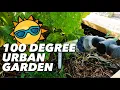 Keeping Your Garden Hydrated In The Heat Tips For Watering In Hot Weather