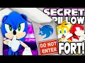Download Lagu The Secret Pillow Fort! - Sonic and Friends