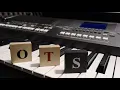 Yamaha PSR Tutorial - What is OTS