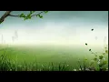 Forest Background Effects Effects Free Stock 25fps Templates Animation 1080p