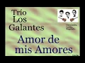 Download Lagu Trío Los Galantes:  Amor de mis Amores - (letra y acordes)