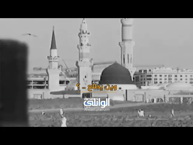 كان الإمام علي لايكاد يهدأ بالبيت بعد أن فقد فاطمة ؟ ماذا كان يفعل !! د.احمد الوائلي