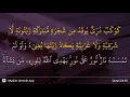 An-Nur ayat 35
