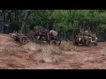 Iclone 7 9 Vehicle Python Tool Buggy and 4WD Interaction 4K Test 03