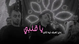 مصطفى الحلوانى    عايز تعرف ايه تانى يا قلبي     دندنها