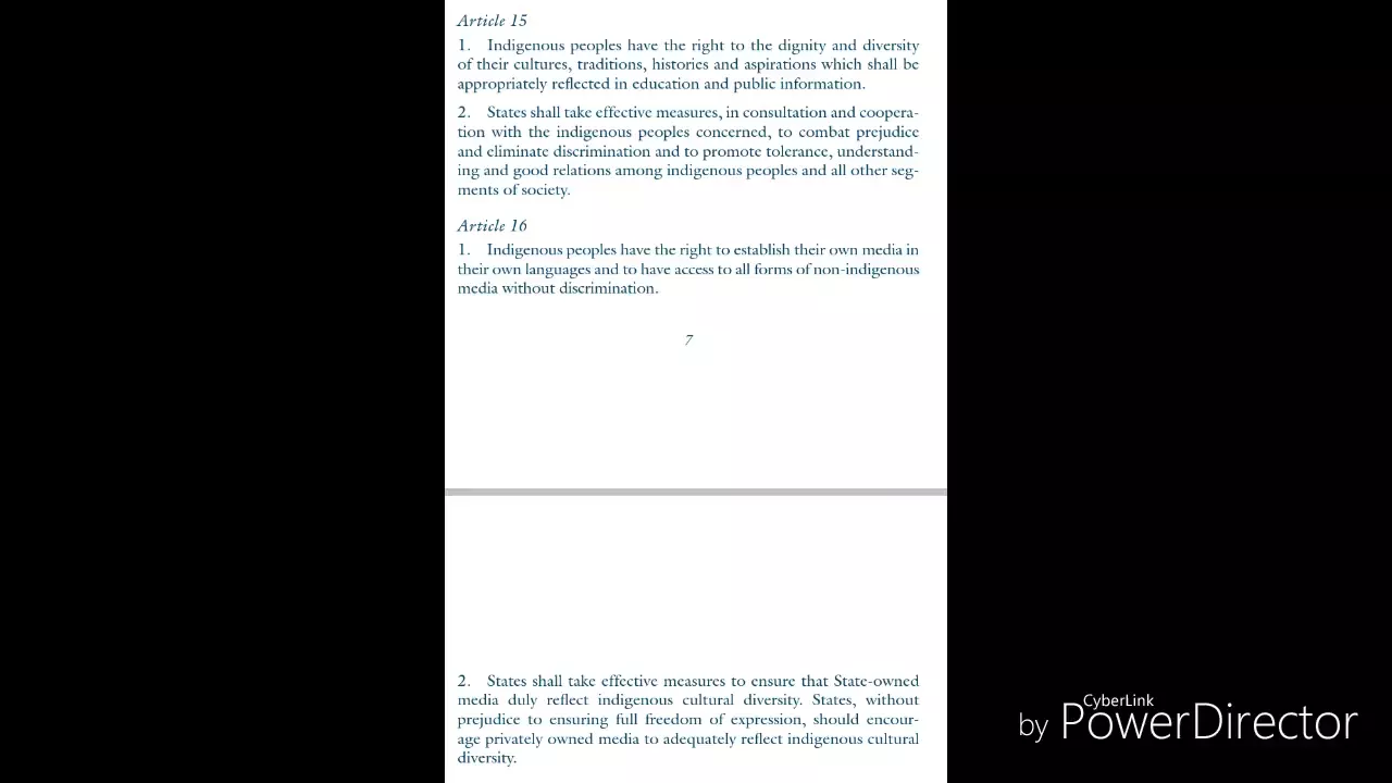 U N D R I P United Nations Declarations on the Rights of Indigenous Peoples