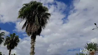 تلاوة خاشعة لما تيسر من سورة الأنبياء للقارئ المرحوم راغب مصطفى غلوش رحمه الله 