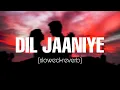 Download Lagu Dil Jaaniye  (Slowed And Reverb) || Lofi Forever