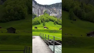 ادخلوا الجنة   سعد الغامدي دندنها