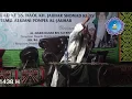 Download Lagu Habib Bahar bin Ali BIn Smith - Panjalu 2017