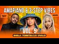 Lagu Amapiano \u0026 3-Step Vibes 2025 Vol. 5 | Shela, Tobetsa 3.0 \u0026 uValo