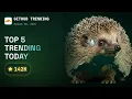 5 GitHub Repos Trending Right Now August 2026