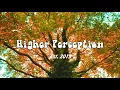 Flughand - Waltstro