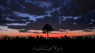 بطير وانا لسه في مكاني 