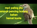 Download Lagu prenjak sawah..ll suara pancingan prenjak klik memancing burung bahan