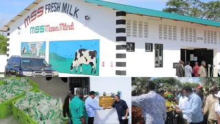 soko la maziwa kufunguka katavi kiwanda cha maziwa mss chazinduliwa rasmi na waziri mkuu