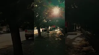 يا سلام لسا الدنيا بتحقق لناس احلام  أجمل فرحة  مهى فتوني دندنها