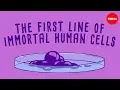 Download Lagu The immortal cells of Henrietta Lacks - Robin Bulleri