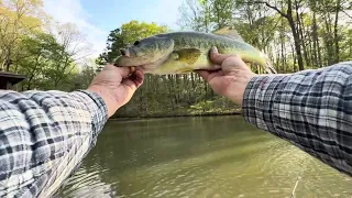 BEAUTIFUL DAY