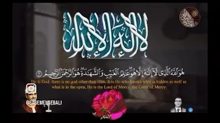 هو الله الذي لا إله إلا هو عالم الغيب والشهادة هو الرحمن الرحيم تلاوة عطرة للشيخ محمد صديق المنشاوي 
