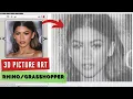 Grasshopper Tutorial 3D IMAGE SAMPLER Picture Art