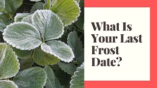 What is Your Last Frost Date - Estimated Last Garden Frost Dates by Zone