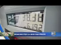 UC Expert Explores Factors Behind California s Higher Gasoline Prices