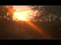 Download Lagu Day 5/15 son sad and raven dahen #villagelifestyle #1kviews #subscribe #nature #