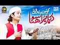 Konain Dey Wali Da Darbar Bara Sohna | Ghulam Mustafa Qadri
