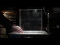 Convection Cell "Sea Breeze" Visualization