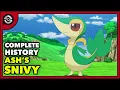 Ash s Snivy From Diva to BRUISER Complete History