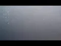 EDEN float